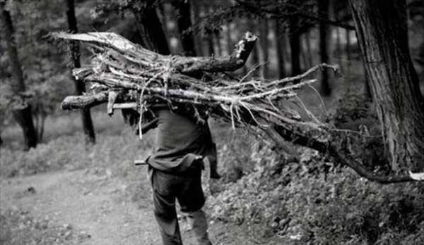 Cậu học sinh nhặt được chiếc lá, chuyên gia khảo cổ tuyên bố Đây là bảo vật vô giá, có lịch sử hơn 6.000 năm”-1