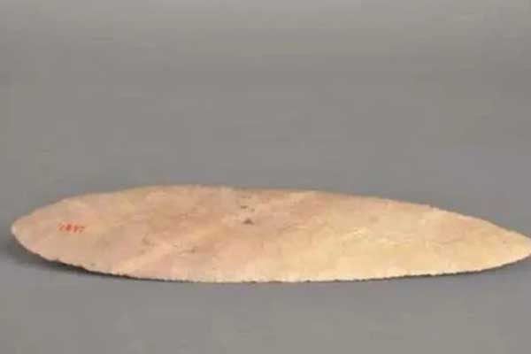 Cậu học sinh nhặt được chiếc lá, chuyên gia khảo cổ tuyên bố Đây là bảo vật vô giá, có lịch sử hơn 6.000 năm”-2