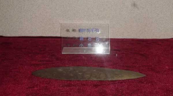Cậu học sinh nhặt được chiếc lá, chuyên gia khảo cổ tuyên bố Đây là bảo vật vô giá, có lịch sử hơn 6.000 năm”-4