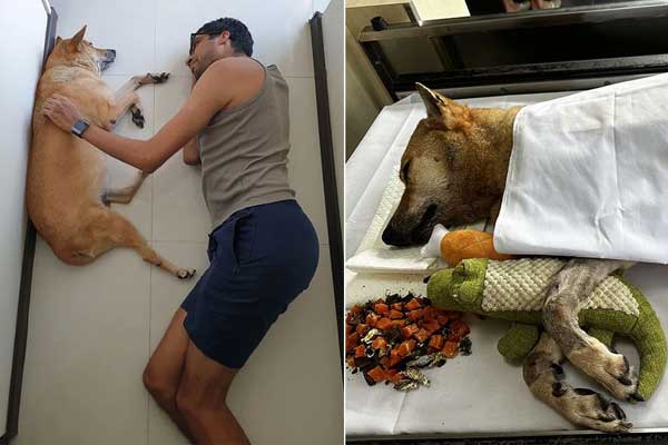 Vì sao núi Everest không ngừng cao lên?-2