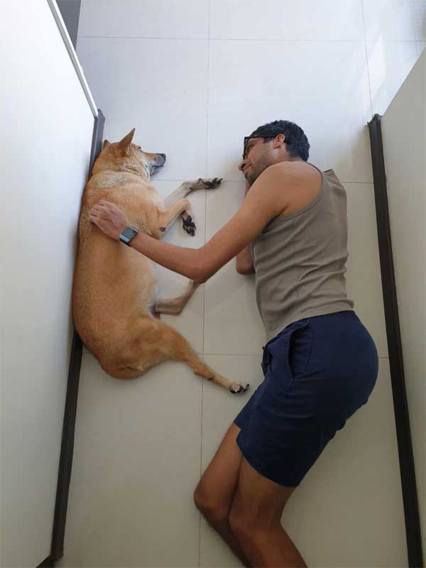 Chủ leo núi Everest mất tích cũng là lúc chó cưng ở nhà hấp hối-3