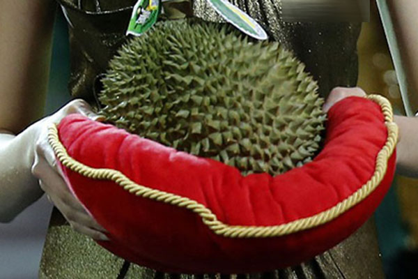 Loại ớt ăn trực tiếp như các loại trái cây khác, dân buôn ngày bán cả tạ-4