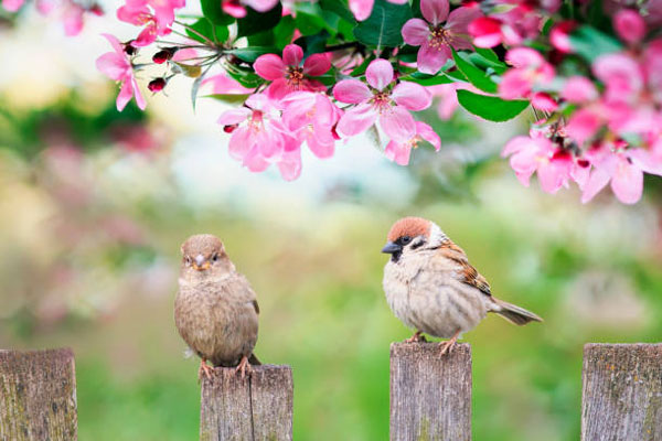 Giữa hè tháng 6, 4 con giáp đón tài lộc bất ngờ, thu hoạch vượt trội, giấc mơ giàu sang thành sự thực-5