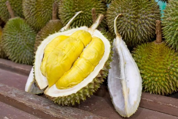 Thèm đến mấy những người này không nên ăn sầu riêng-1