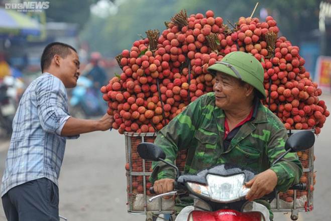 Bắc Giang: Nông dân ào ạt thồ vải thiều đi cân bán, phố phường được nhuộm đỏ ối-6