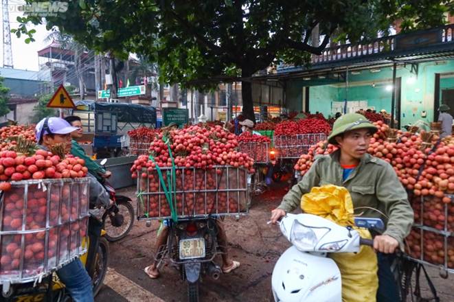 Bắc Giang: Nông dân ào ạt thồ vải thiều đi cân bán, phố phường được nhuộm đỏ ối-8