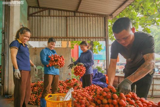 Bắc Giang: Nông dân ào ạt thồ vải thiều đi cân bán, phố phường được nhuộm đỏ ối-10