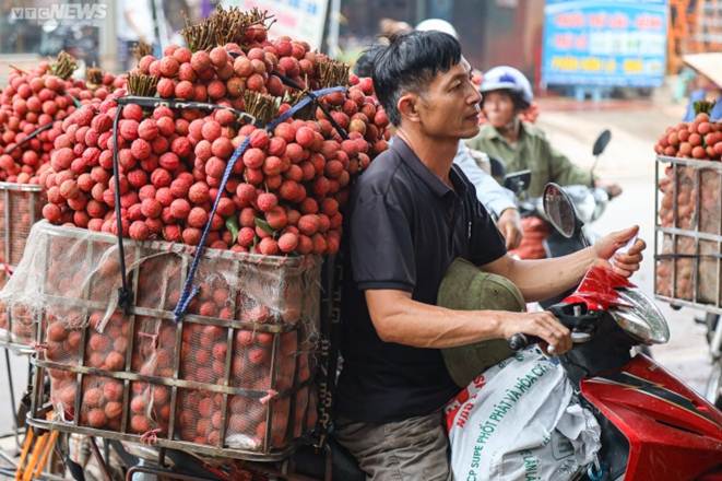 Bắc Giang: Nông dân ào ạt thồ vải thiều đi cân bán, phố phường được nhuộm đỏ ối-11
