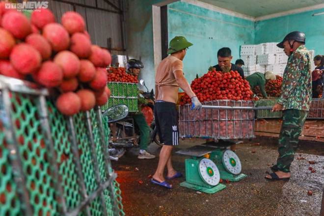Bắc Giang: Nông dân ào ạt thồ vải thiều đi cân bán, phố phường được nhuộm đỏ ối-9