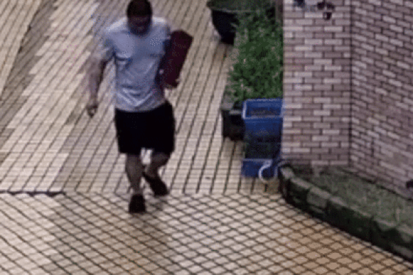 Clip: Đang ngồi lướt điện thoại, cô gái bị rắn hổ mang rơi trúng vai-1