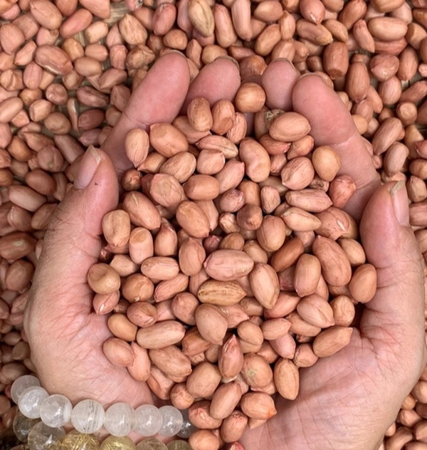 Chỉ cần ăn vài hạt rẻ bèo này vào sáng sớm để nhận 6 lợi ích sức khỏe bất ngờ-2