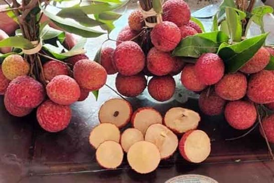 Hơn 800.000 đồng một kg vải không hạt tại Nhật Bản
