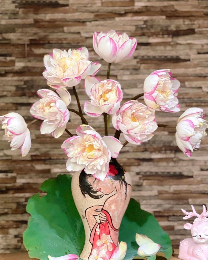 Chị em phát sốt, lùng mua bằng được hoa sen đột biến độc lạ-6