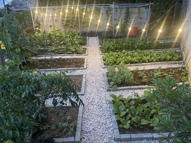 Chi 10 triệu cho mảnh vườn thứ hai sau khi đã có vựa rau rộng 70m2: Nhìn mê, chăm thì không dễ!-5