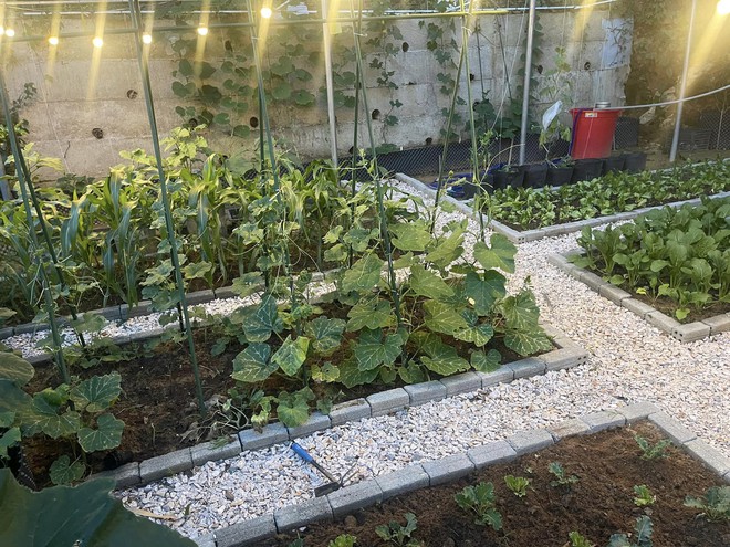 Chi 10 triệu cho mảnh vườn thứ hai sau khi đã có vựa rau rộng 70m2: Nhìn mê, chăm thì không dễ!-6