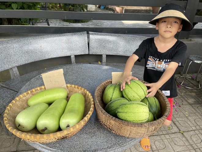 Chi 10 triệu cho mảnh vườn thứ hai sau khi đã có vựa rau rộng 70m2: Nhìn mê, chăm thì không dễ!-12