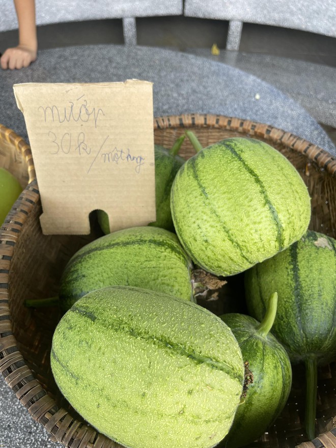 Chi 10 triệu cho mảnh vườn thứ hai sau khi đã có vựa rau rộng 70m2: Nhìn mê, chăm thì không dễ!-13