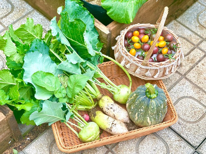 Chi 10 triệu cho mảnh vườn thứ hai sau khi đã có vựa rau rộng 70m2: Nhìn mê, chăm thì không dễ!-7