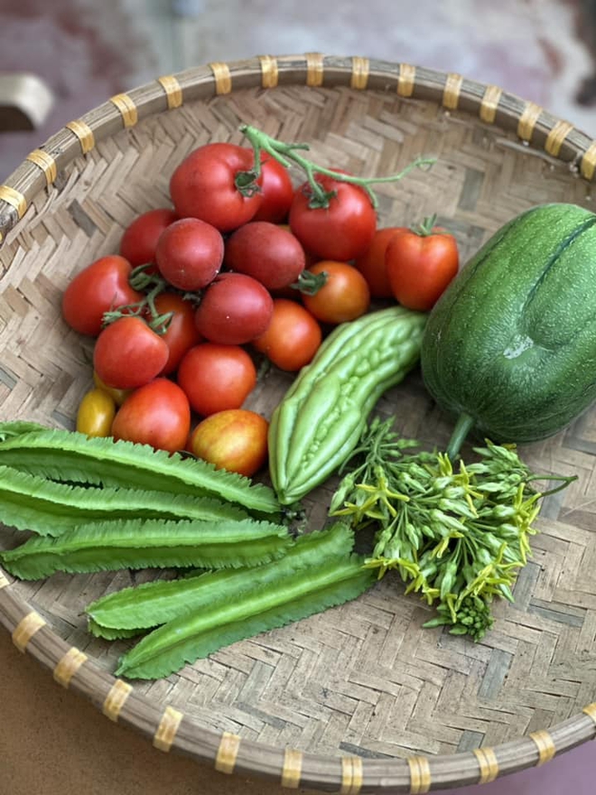 Chi 10 triệu cho mảnh vườn thứ hai sau khi đã có vựa rau rộng 70m2: Nhìn mê, chăm thì không dễ!-9