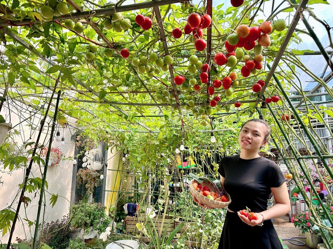 Chi 10 triệu cho mảnh vườn thứ hai sau khi đã có vựa rau rộng 70m2: Nhìn mê, chăm thì không dễ!-19