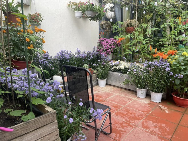 Chi 10 triệu cho mảnh vườn thứ hai sau khi đã có vựa rau rộng 70m2: Nhìn mê, chăm thì không dễ!-22