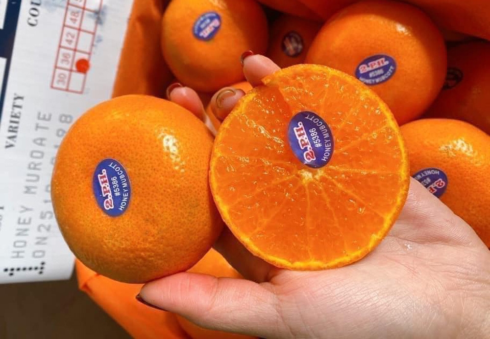 Quýt Úc đổ về chợ Việt giá rẻ khó tin, chỉ 20.000 đồng/kg-1