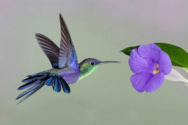 Tháng 5 Âm lịch đến gần, 4 con giáp không gặp tiểu nhân, làm ăn phát đạt, đếm tiền mỏi tay, dài lâu may mắn-1