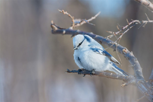 Tháng 5 Âm lịch đến gần, 4 con giáp không gặp tiểu nhân, làm ăn phát đạt, đếm tiền mỏi tay, dài lâu may mắn-3