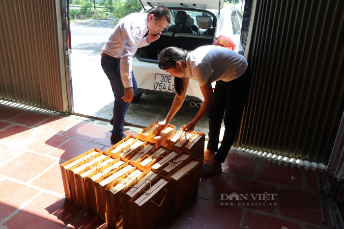 Chuyện về người đàn ông ngoại thành Hà Nội biến cánh đồng hoang, kiếm tiền tỷ từ hoa sen-11