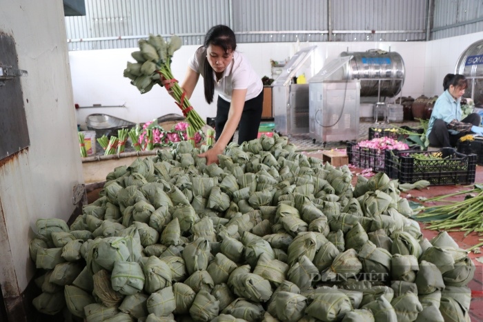 Chuyện về người đàn ông ngoại thành Hà Nội biến cánh đồng hoang, kiếm tiền tỷ từ hoa sen-9