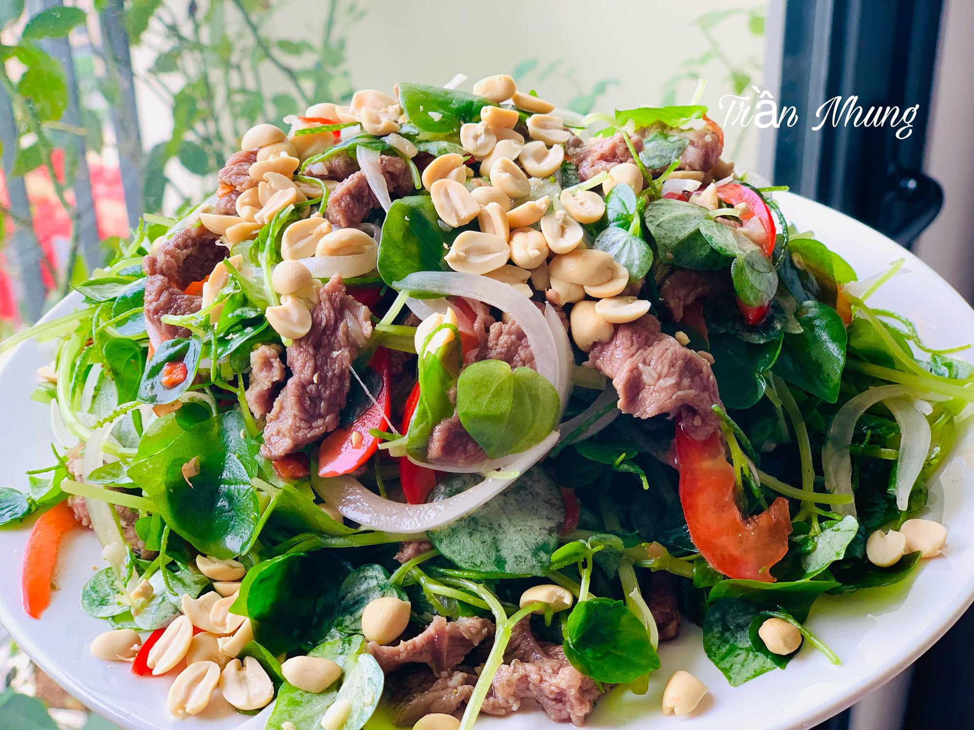 Loại rau mọc ở vách tường, xưa người nghèo mới ăn, nay người giàu săn đón, làm gỏi ngon, mát, bổ-2