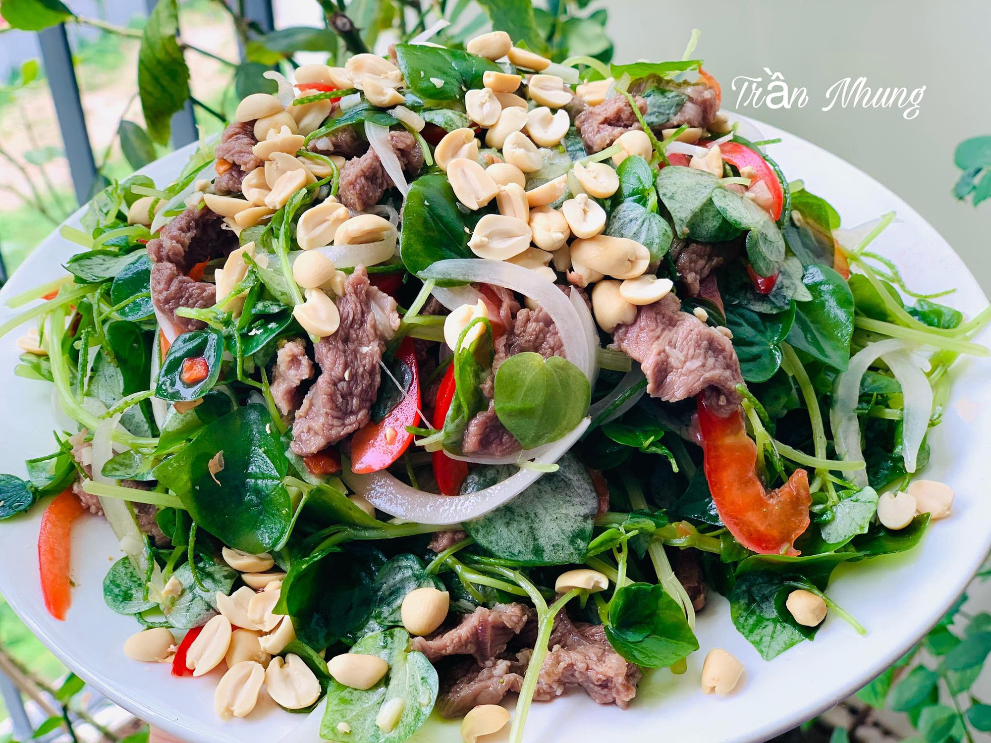 Loại rau mọc ở vách tường, xưa người nghèo mới ăn, nay người giàu săn đón, làm gỏi ngon, mát, bổ-3