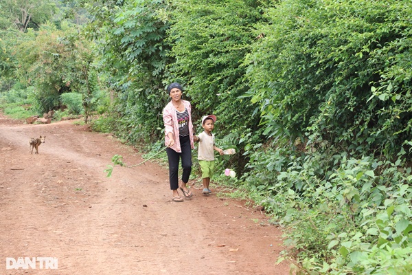 Vụ tấn công trụ sở xã ở Đắk Lắk: Vợ ôm mặt khóc, đưa chồng đi đầu thú-5