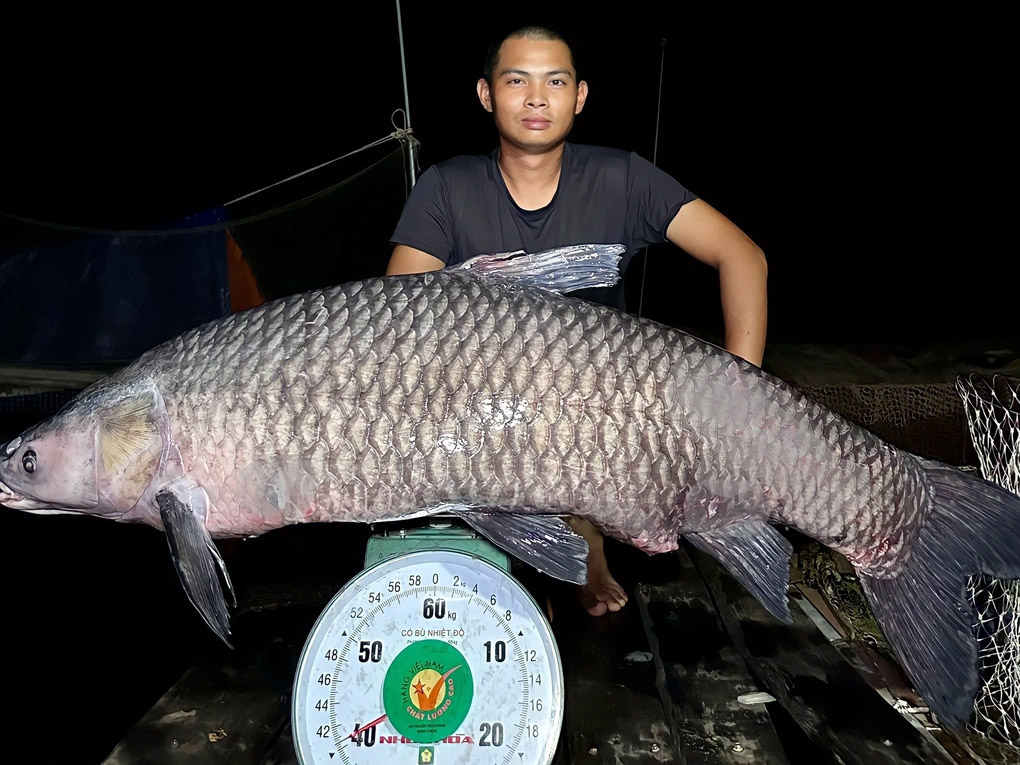 Vụ câu được thủy quái trắm đen 40kg: Quyết định bất ngờ của cần thủ-2