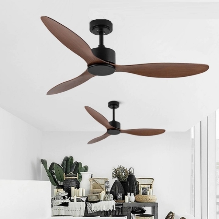 Mùa hè nên dùng quạt cây hay quạt trần?-2