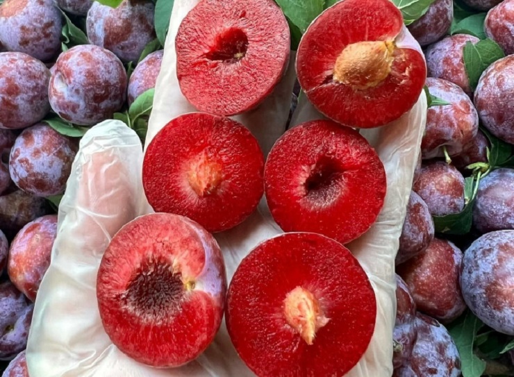 Những đặc sản” có giá cao gấp chục lần quả thông thường mà vẫn cháy hàng”-1