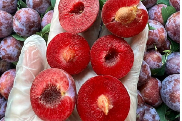 Từng là mặt hàng xa xỉ, loại trái cây này đột ngột rớt giá mạnh-3