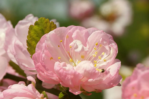 Tử vi ngày 19/6/2023 của 12 cung hoàng đạo: Bạch Dương hoạt bát, Bảo Bình căng thẳng-1