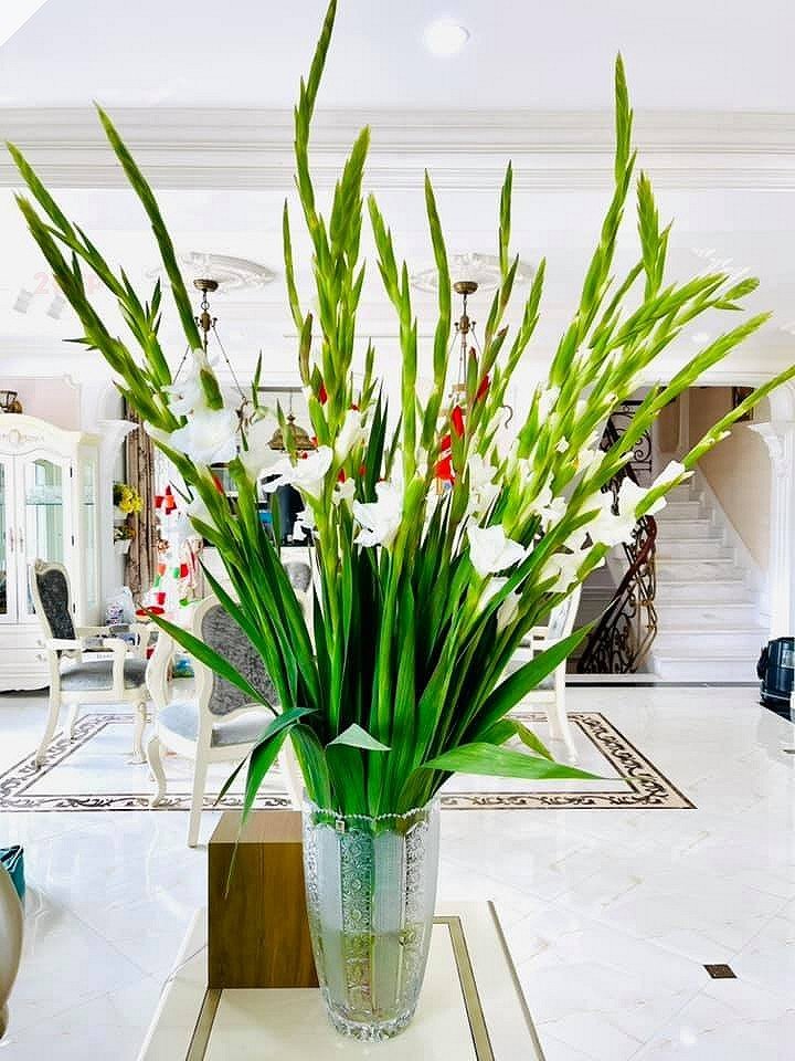 Điểm chung thú vị giữa 2 cơ ngơi của vợ mới - Phương Oanh và vợ cũ - Đào Lan Hương của Shark Bình-27