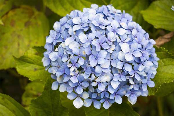 Mở khóa tài vận: Người sinh vào 3 tháng Âm lịch này có tài lãnh đạo, tương lai rộng đường thăng tiến-1