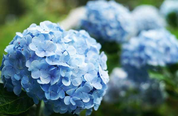 Mở khóa tài vận: Người sinh vào 3 tháng Âm lịch này có tài lãnh đạo, tương lai rộng đường thăng tiến-3