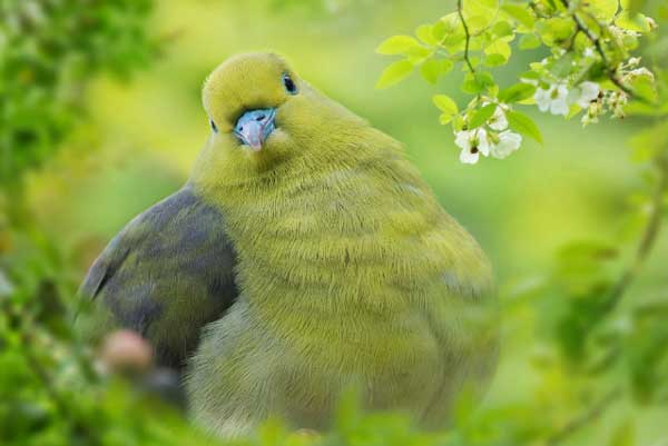 Vận số đã định: 4 con giáp tài lộc suôn sẻ, trèo cao nhìn xa, tháng 6 thành công, cuối năm sung túc-2