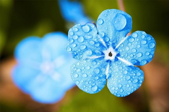 Tử vi ngày 20/6/2023: Tuổi Thìn may mắn kề bên, tuổi Tỵ nhận tin tốt lành