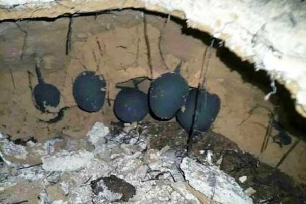 Lão nông đào được quả bóng đen sì, không ngờ giá trị bằng căn nhà trong thành phố-2