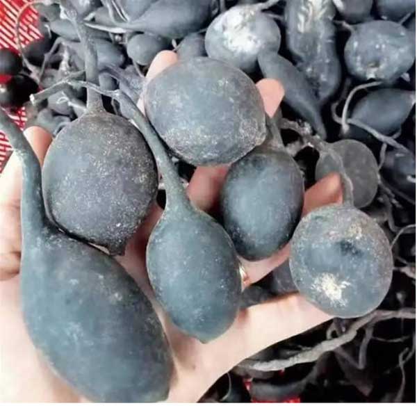 Lão nông đào được quả bóng đen sì, không ngờ giá trị bằng căn nhà trong thành phố-5