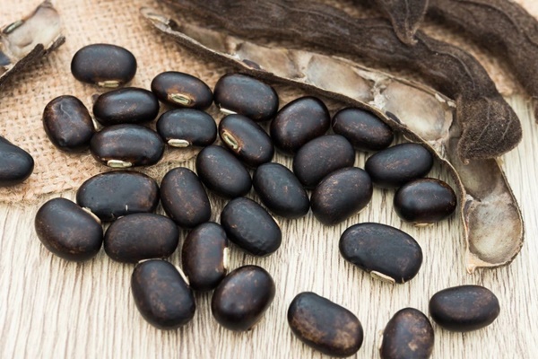 Phát hiện thần dược cho quý ông từ cây mọc hoang ở Việt Nam-1