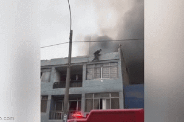 Thanh niên nhanh trí giải cứu chú chó bị thang máy nhấc bổng-1