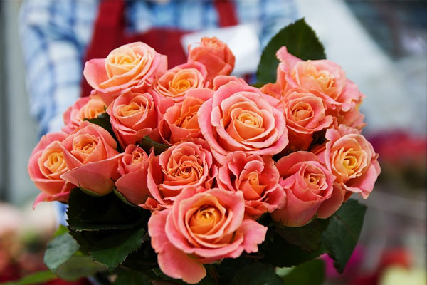 Phú quý đến muộn: Người sinh 3 tháng Âm lịch không ngại gian khổ, cuối đời hưởng trọn vinh hoa-1