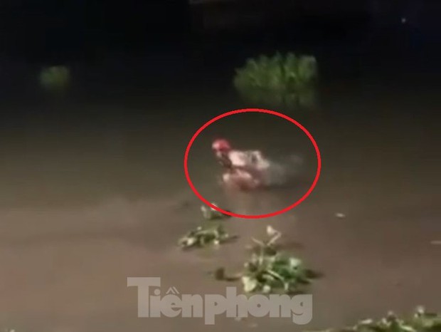 Cứu hai mẹ con người nước ngoài dưới sông Sài Gòn, ba thanh niên kiệt sức-2