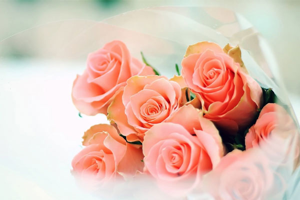 Ai sinh tháng Âm lịch này, phúc khí sâu dày, cần cù bù khả năng, năm nay kiếm lớn-4